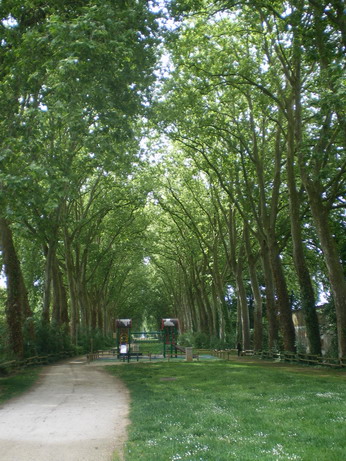 c0124619_23563333.jpg
