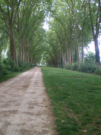 c0124619_23572211.jpg