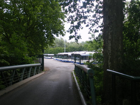 c0124619_2357527.jpg