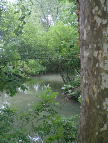 c0124619_23591796.jpg