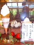 c0153732_2314895.jpg