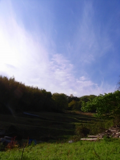 c0153732_81209.jpg