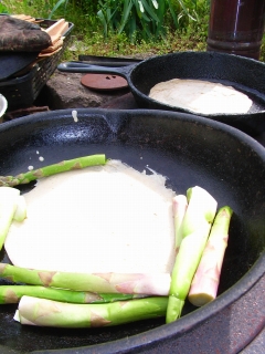 c0153732_8131916.jpg