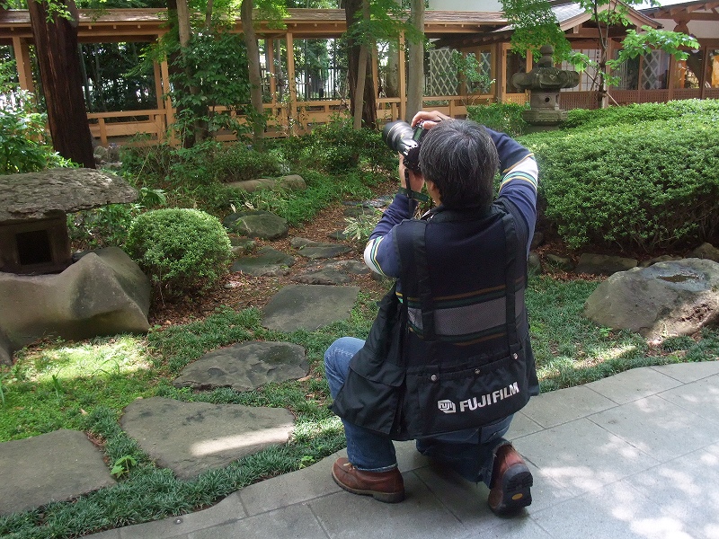 アサヒカメラのＧＦ６７０広告写真_f0050534_737319.jpg