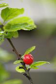 b0120935_97473.jpg