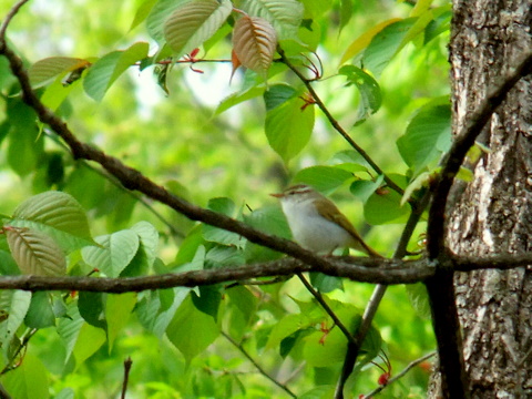 b0165760_03894.jpg