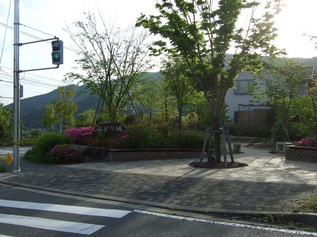 b0095061_973073.jpg