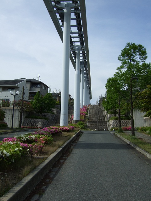 b0095061_993172.jpg