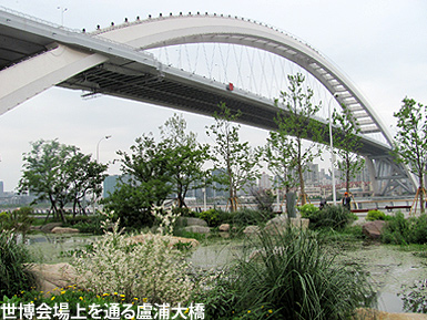 c0167961_1630264.jpg
