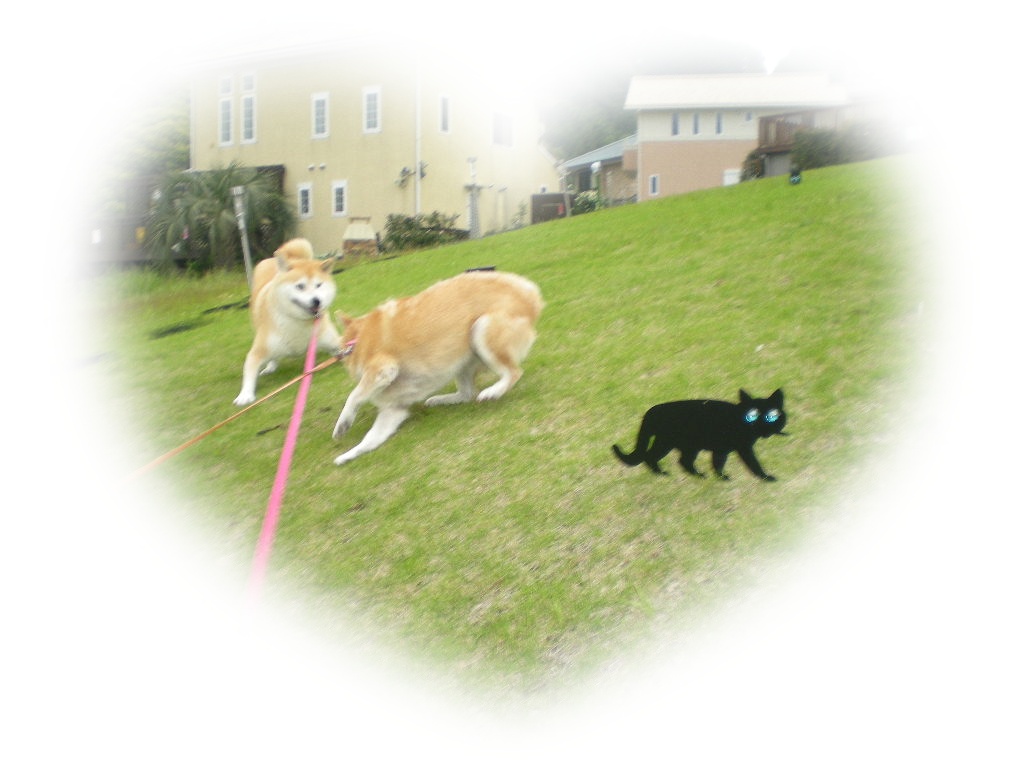 2010年5月27日、愛ちゃんの赤いブランコ!_f0060461_8212079.jpg