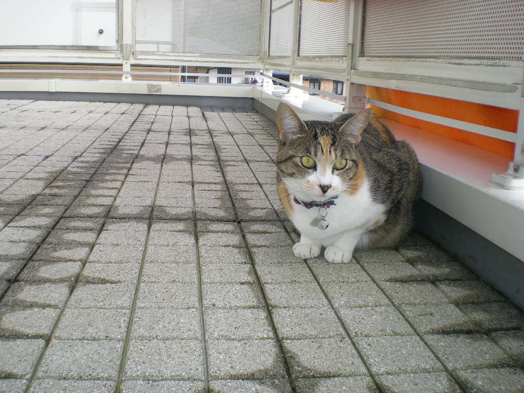 2010年5月27日、愛ちゃんの赤いブランコ!_f0060461_8323730.jpg