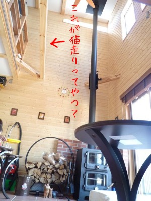 f0177261_16165547.jpg