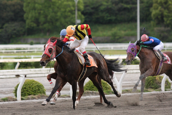 2010年5月15日（土） 高知競馬 6R 大西美里＆涼平協賛 山地仁哉邸祝新築特別 C2-3_a0077663_1845292.jpg