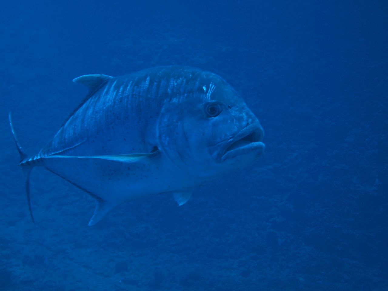 b0138768_1752624.jpg