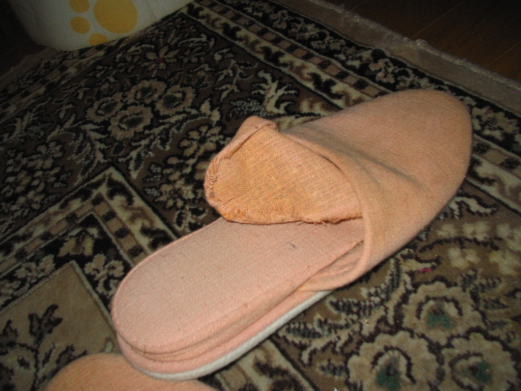 e0031572_16391087.jpg