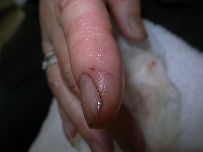 e0151874_1175988.jpg