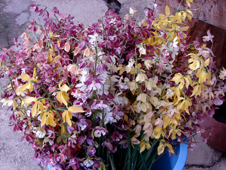 e0064375_21103670.jpg