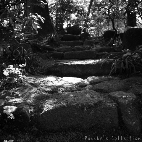 kamakura monochrome　002_f0046675_12231172.jpg