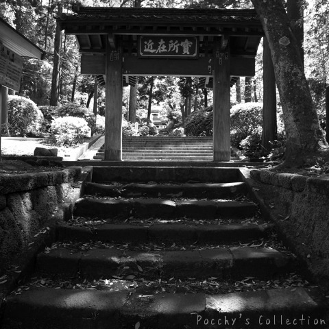 kamakura monochrome　004_f0046675_12334024.jpg