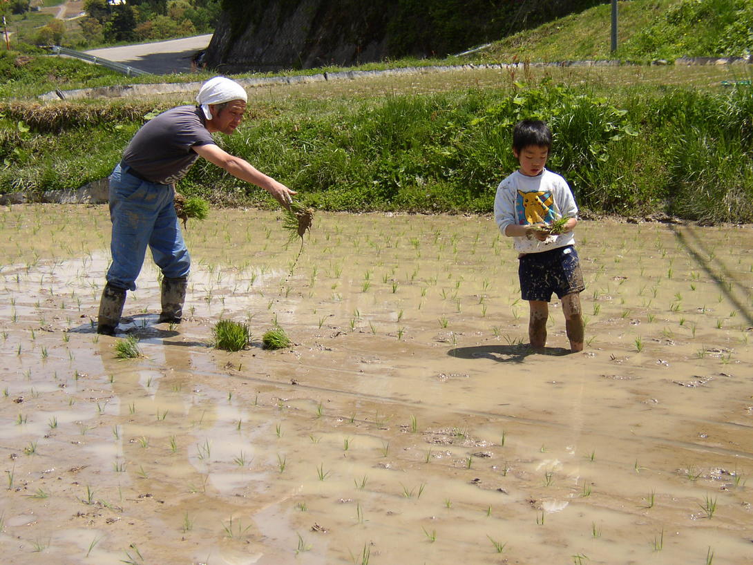 田植え_a0160776_9471712.jpg