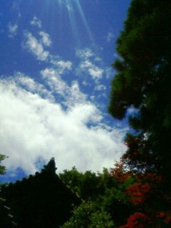 c0135480_0264672.jpg