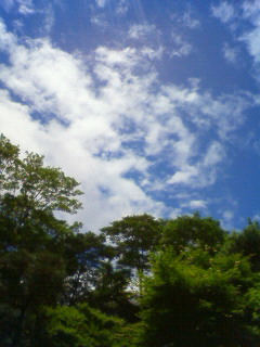 c0135480_0272063.jpg