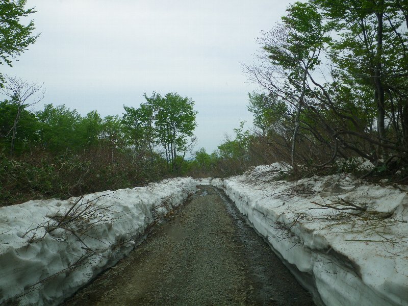 鳥海山（百宅口コース） ～ ２０１０年５月２３日_f0170180_1383842.jpg