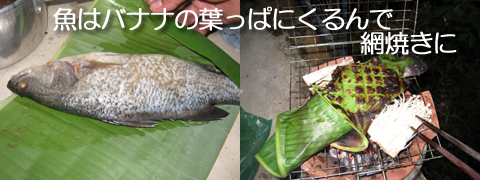BBQって七輪のこと?_f0144385_17245542.jpg