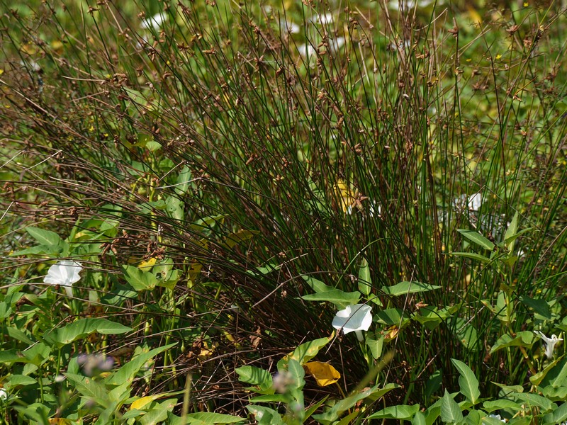 b0108186_141342.jpg