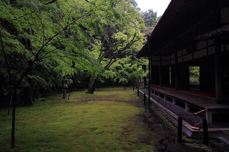高桐院(大徳寺塔頭)_e0051888_21432543.jpg