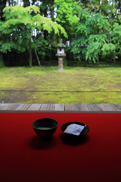 高桐院(大徳寺塔頭)_e0051888_21451815.jpg