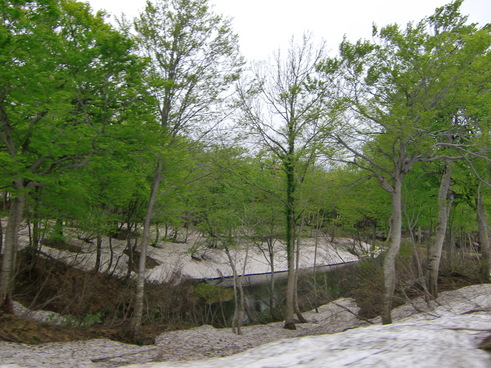 e0145589_2333542.jpg