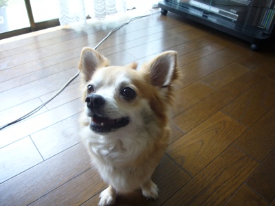 a0073390_14114.jpg