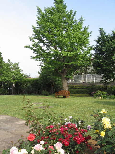 c0087094_16395951.jpg