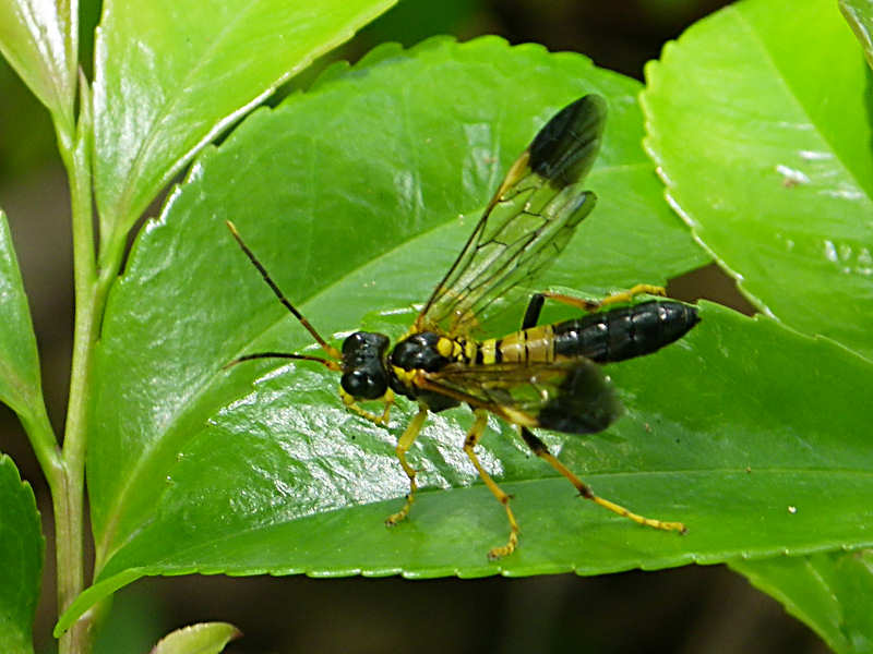 f0204094_21251378.jpg