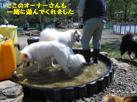 初夏の『犬と森林浴』_f0212597_1155877.jpg