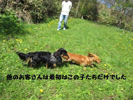 初夏の『犬と森林浴』_f0212597_1165651.jpg