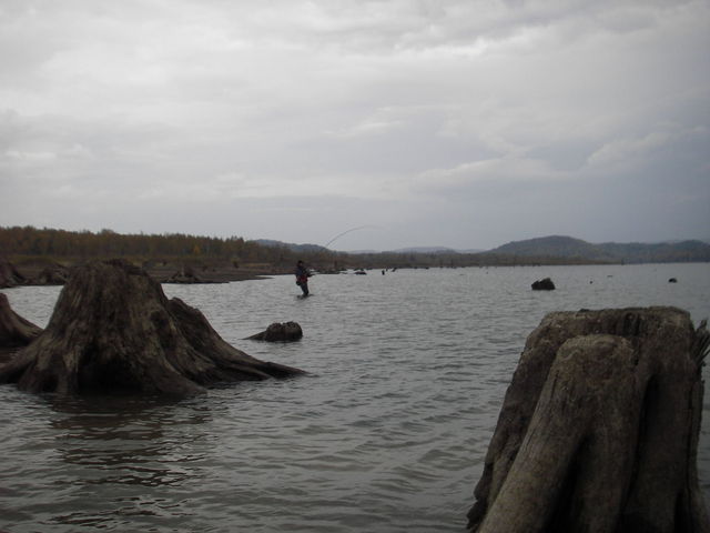 d0156298_23204037.jpg