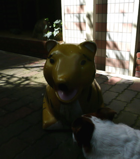 f0146198_18341.jpg