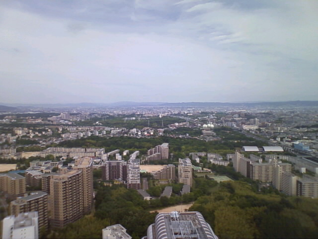 e0037600_20364010.jpg