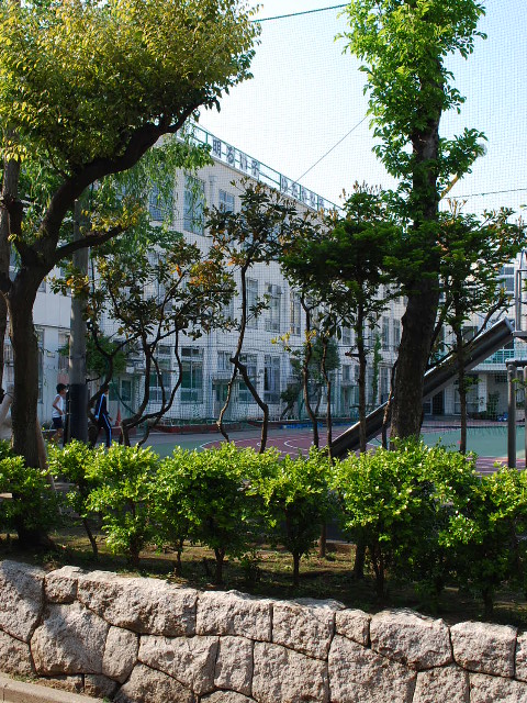 東京都墨田区立言問小学校(昭和モダン建築探訪)_f0142606_60248.jpg