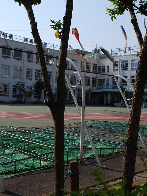 東京都墨田区立言問小学校(昭和モダン建築探訪)_f0142606_63197.jpg