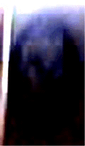 e0103408_14411751.gif