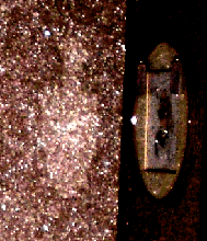 e0103408_14484060.gif