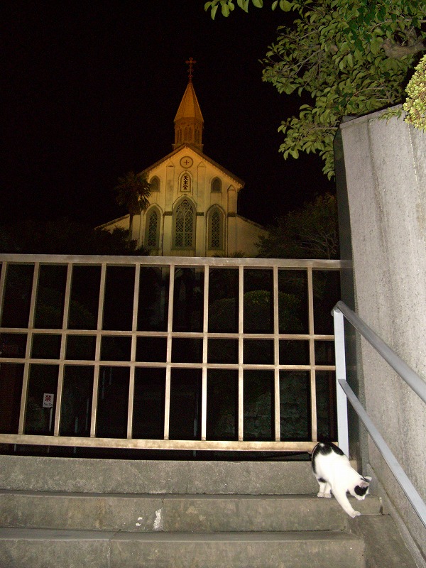 夜の洋館_d0116009_1621106.jpg