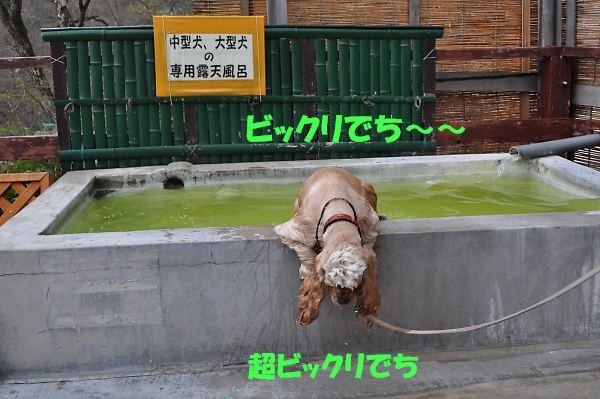 国見国境　冬景色_b0067012_20313764.jpg