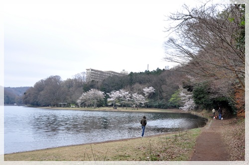 春の伊豆旅行～その３_c0065512_003323.jpg