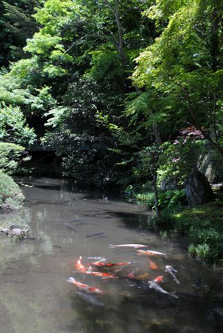 5月28日-29日_a0036513_2018925.jpg