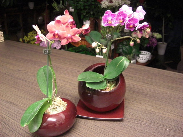 f0226713_22361077.jpg