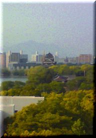 f0155516_1328466.jpg
